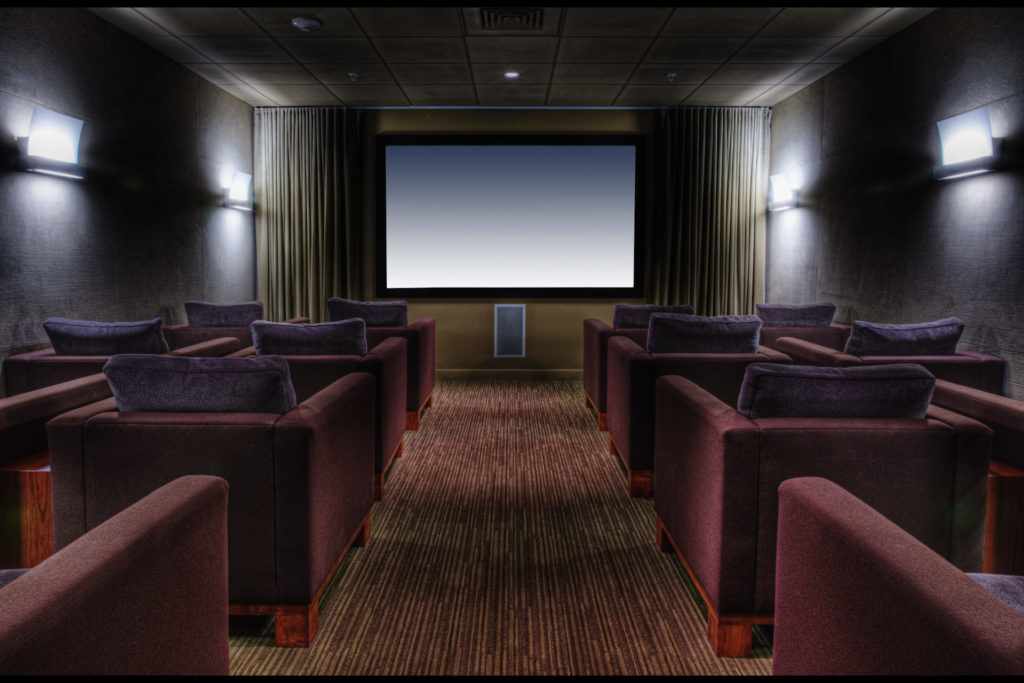 Game and Theatre Room - Tampa Luxury Homes